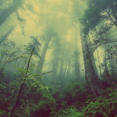 Majestic movie beat "AIR"