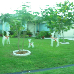 serenade (prod.csupo)