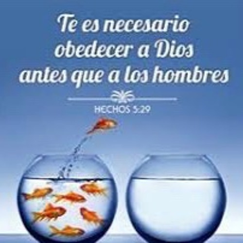 Stream ES NECESARIO OBEDECER A DIOS ANTES QUE A LOS HOMBRES by Casa De  Oracion Jacksboro Texas | Listen online for free on SoundCloud