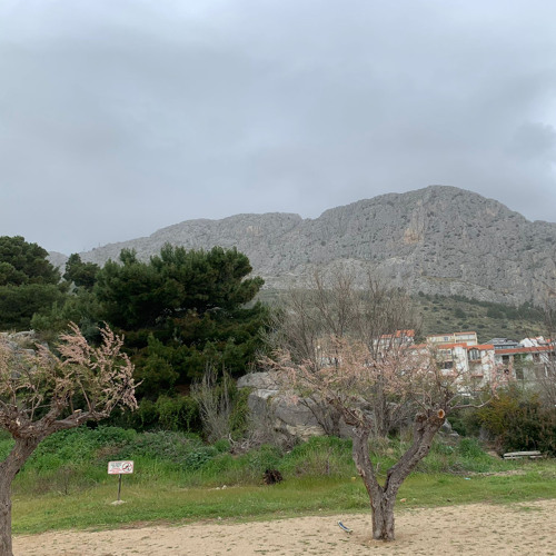 crackflag hardtekk gym