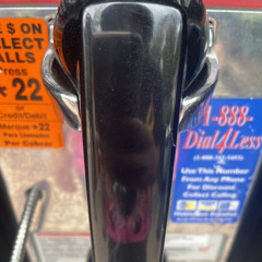 QUEEN OF THE NIGHT DISCO