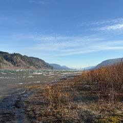 Optic Echo Presents Best Vinyl of 2025