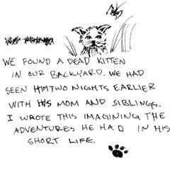 Journey Of The Stray