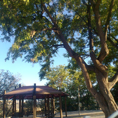 like wind