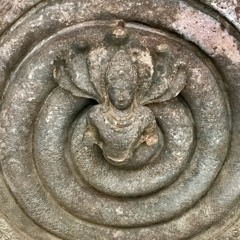 Monkey Boy - Nagas