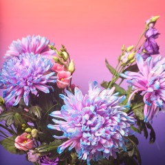 STARTER (in to the night) MIX