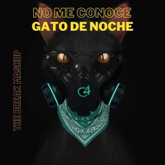 Gato de Noche X No me Conoce (The Break Mashup) FILTER COPYRIGHT