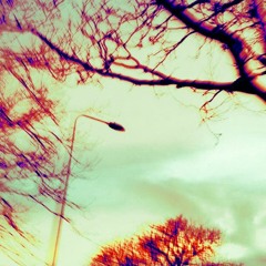 Rick's Not Coming Down