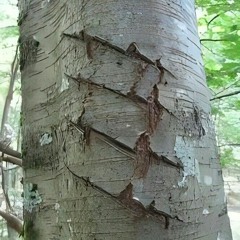 what am i supposed to do?