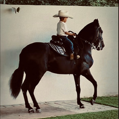 PASO FINO🏇 - GUARACHA (Thiago DJ)