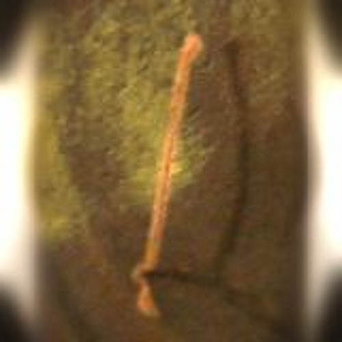Didgeridoo73