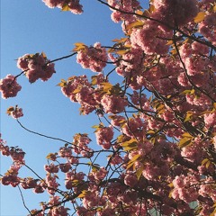 with you - demo by GAIL