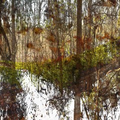 kkk w/ 5staryared yoskelly