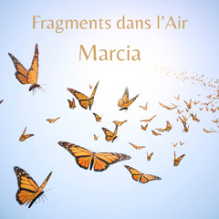 Fragments dans l'Air