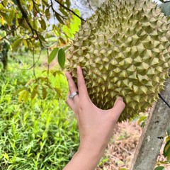 Nhạc Miền Tây Remix 🌾