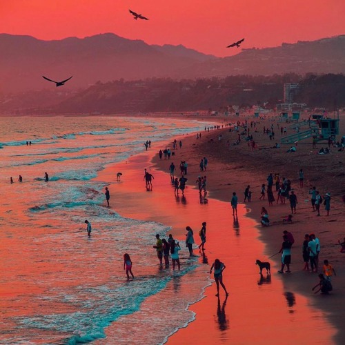 Mihai Pol - Summer