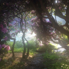 ༊*·˚ 𝙖𝙧𝙪𝙙𝙞𝙖𝙣 𝙙𝙖𝙣𝙘𝙚 ~ 𝙣𝙪𝙟𝙖𝙗𝙚𝙨 (1 𝙝𝙤𝙪𝙧) ੈ✩‧₊˚