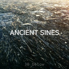 Palindrome