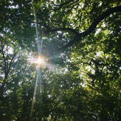 Vùng trời bình yên - Piano Cover (Phạm Hữu Tâm, 2002)