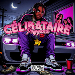 Celibataire Polygame