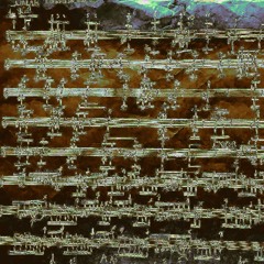 IV_Cestode_EO_19-03-2024