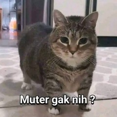 DJ TAPI BERPUTAR PUTAR AKU BINGUNG SENDIRI  DJ AKU TAU MAUMU DJ OK