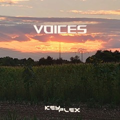 Voices