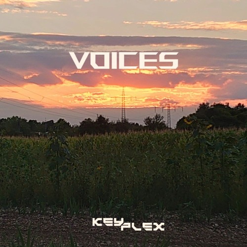 Voices