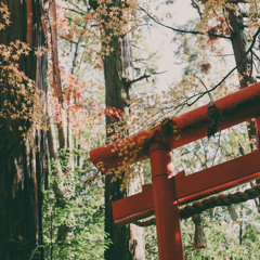 Noi Tinh Yeu Ket Thuc