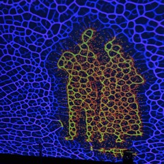 Portal sphere 7 dead on the ground.m4a