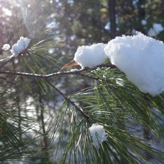 snow