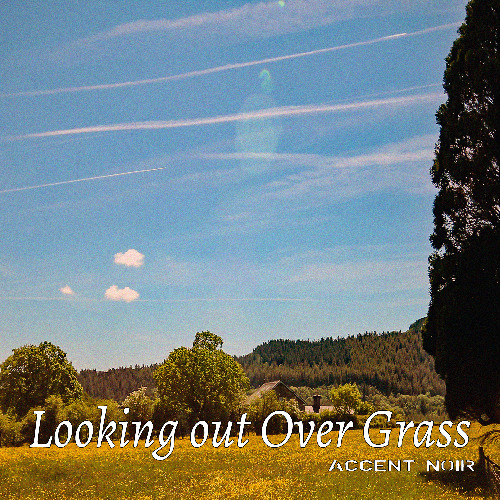 Looking Out Over Grass