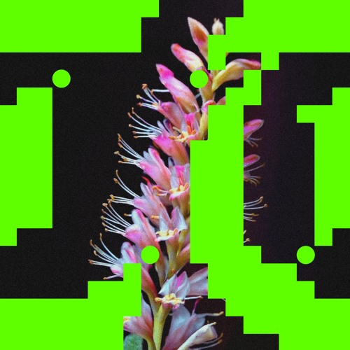Premiere: Budakid - Better O'be New  ft. Rromarin [Flores]