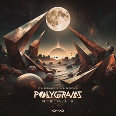 Flegma - Lunaris (Polygrams Remix) | OUT NOW 🐝🎶