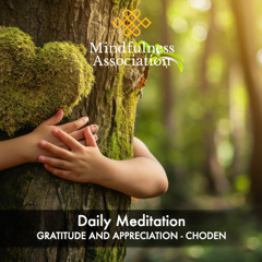 Gratitude and Appreciation