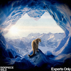 SIDEPIECE - Wild (Extended Mix)