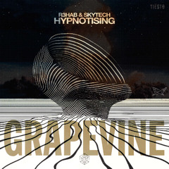 Hypnotising vs. Grapevine (DOPTERA Mashup)