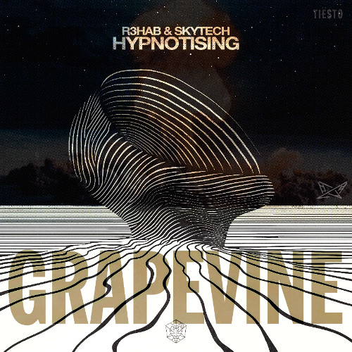 Hypnotising vs. Grapevine (DOPTERA Mashup)