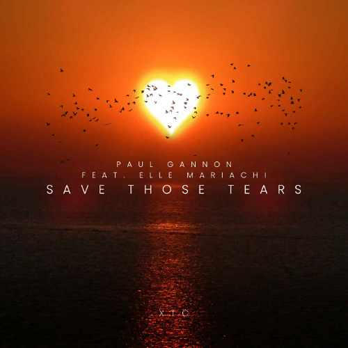 Paul Gannon - Save Those Tears feat. Elle Mariachi