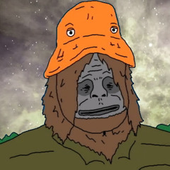 sassy the Sasquatch-i saw a light fall out of the sky