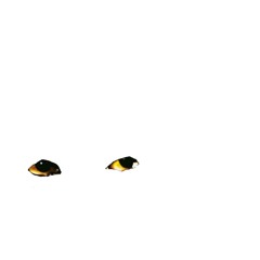 ALL DOGS GO TO HEAVEN