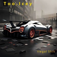 Ilegal Shit