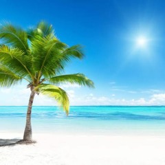 Awi Sipaia 🇵🇬👋🏿