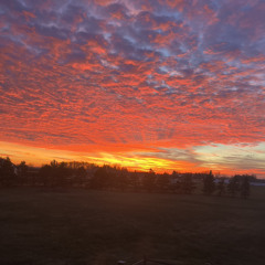 THIEF (rap cap⚠️)