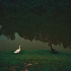 The Subtle Limbo [Full Beat Tape]