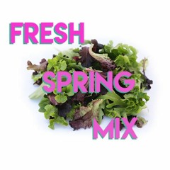 Fresh Spring Mix