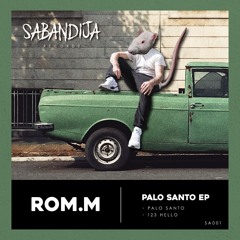 PALO SANTO (Original Mix)