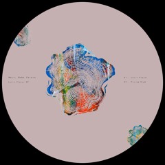 PREMIERE :  Naju, Gabo Forero - Latin Flavor
