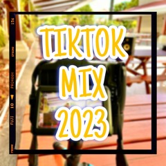TIKTOK MIX 2023 - EL NANDOTEO TRENDS ( Foto en panty - Marisola remix - Hey mor - Delincuente)