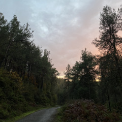 New & hot: Classical